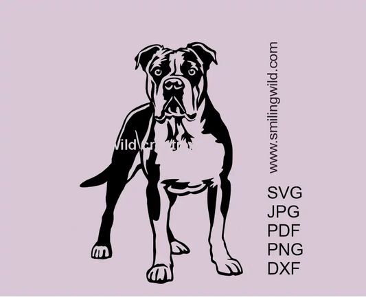 Alert American Bulldog full-body black SVG PNG DXF – cuttable vector file for Cricut and laser engraving