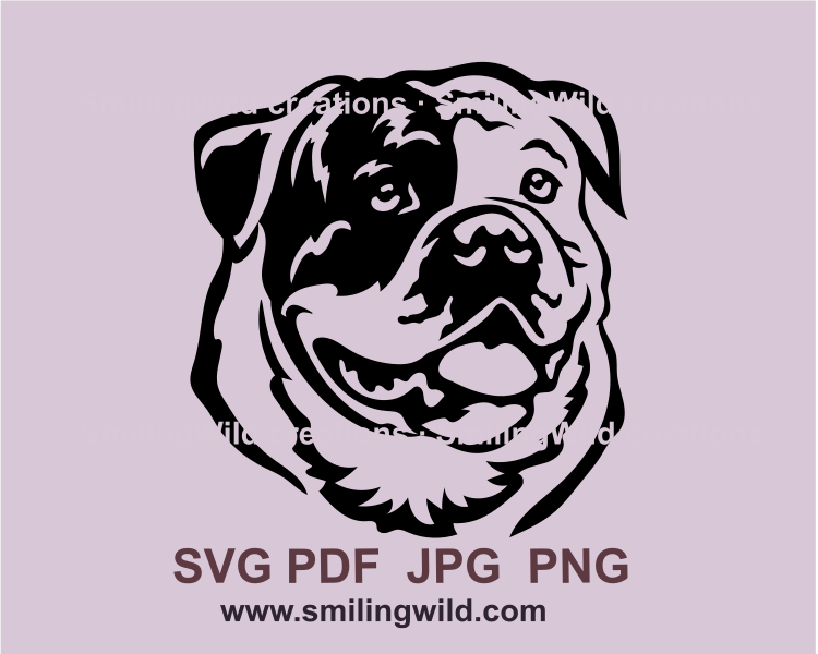 American bulldog portrait in digital graphic