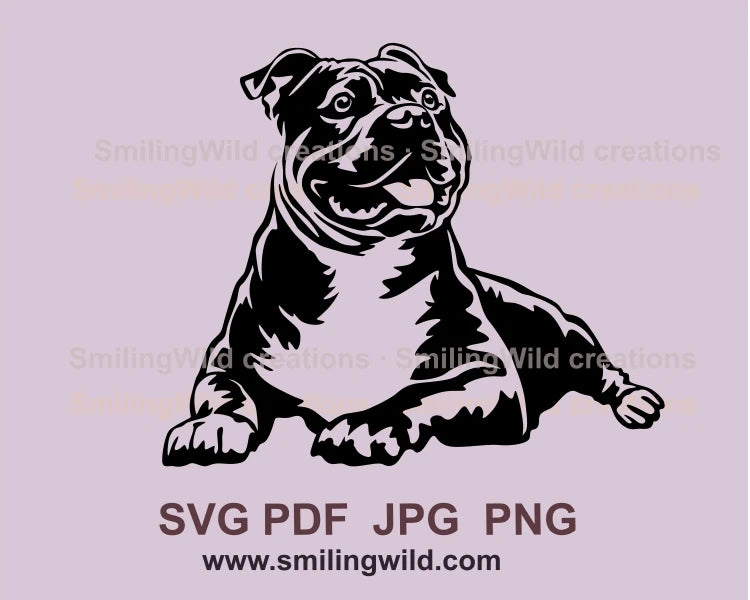 American bully is laying and smiling and drawn in graphic style