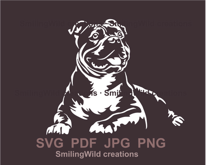 American bully lying portrait prezented by svg file special approach