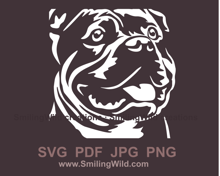 American bully white graphical portrait