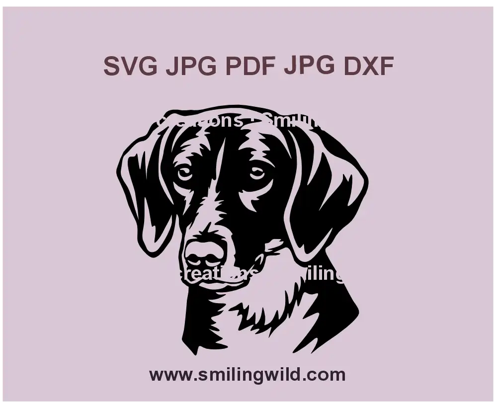 Realistic American Foxhound SVG, PNG, DXF digital file featuring a detailed hunting dog head portrait, perfect for Cricut and laser cutting projects