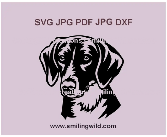 Realistic American Foxhound SVG, PNG, DXF digital file featuring a detailed hunting dog head portrait, perfect for Cricut and laser cutting projects