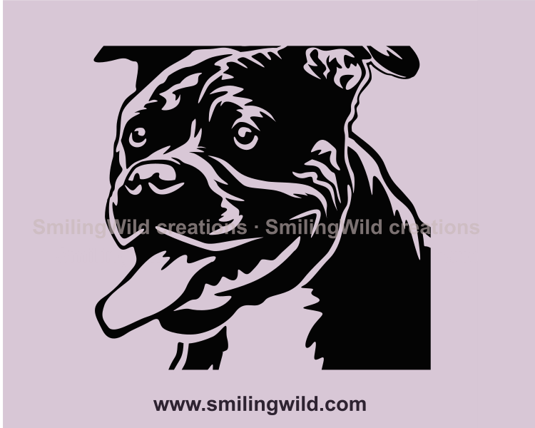 American Pit Bull Terrier with tongue hanging out of mouth vector desing