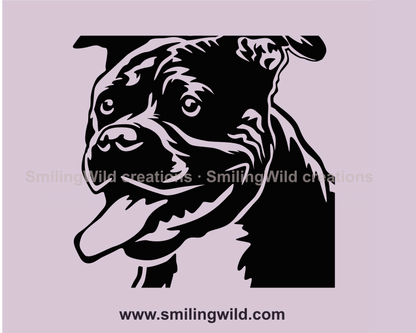 American Pit Bull Terrier with tongue hanging out of mouth vector desing