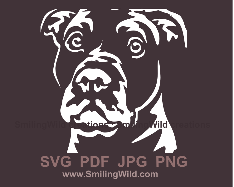 american staffordshire terrier face graphic design in white color