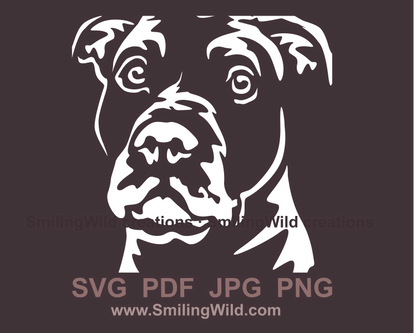 american staffordshire terrier face graphic design in white color