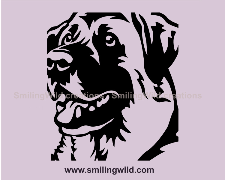 Anatolian shepherd fece close up design
