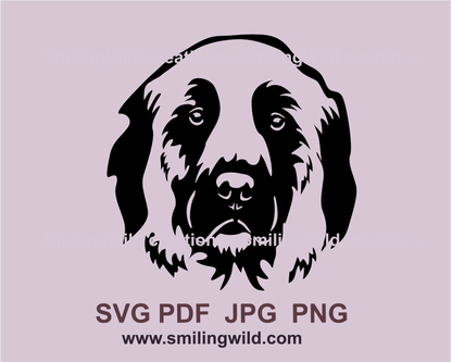 Anatolian shepherd face portrait made as a smooth vector graphic