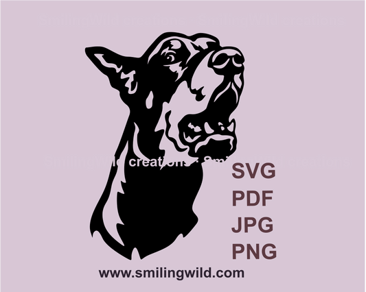 angry doberman pinscher clip art drawing