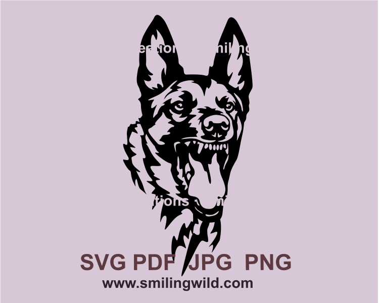 Angry dog malinois clip art design with translarent background