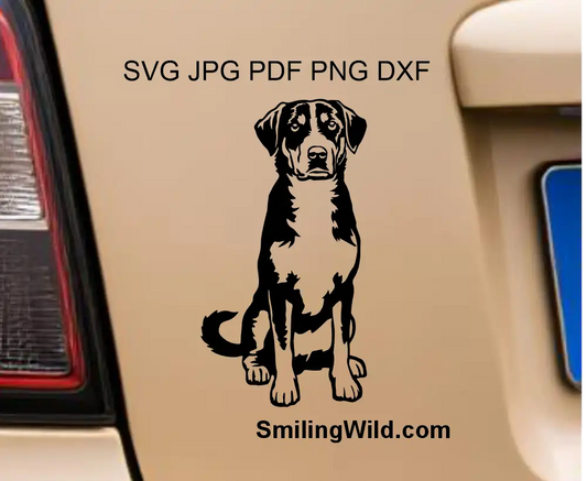 A sitting full body Appenzeller Sennenhund graphic DXF and SVG file for Cricut and cutting machines