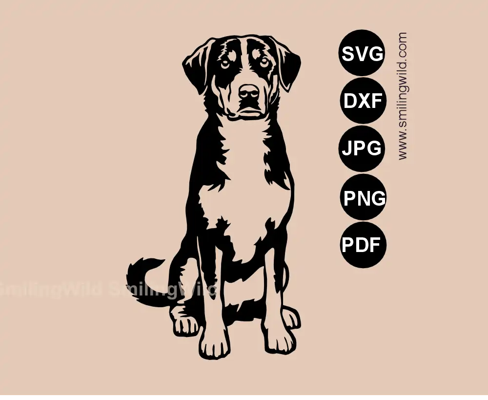 Realistic Appenzeller Sennenhund SVG PNG DXF cliaprt files of a full body sitting Swiss herding dog in a detailed digital drawing