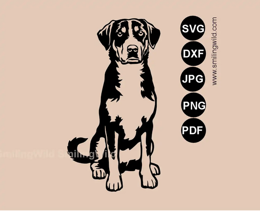 Realistic Appenzeller Sennenhund SVG PNG DXF cliaprt files of a full body sitting Swiss herding dog in a detailed digital drawing