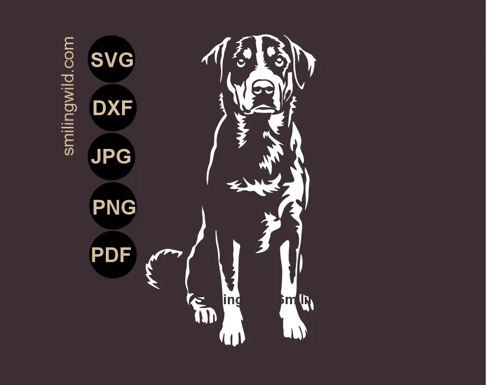 Sitting full body Appenzeller Sennenhund working dog white vector cut file in SVG PNG DXF