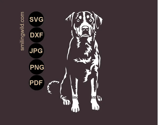 Sitting full body Appenzeller Sennenhund working dog white vector cut file in SVG PNG DXF