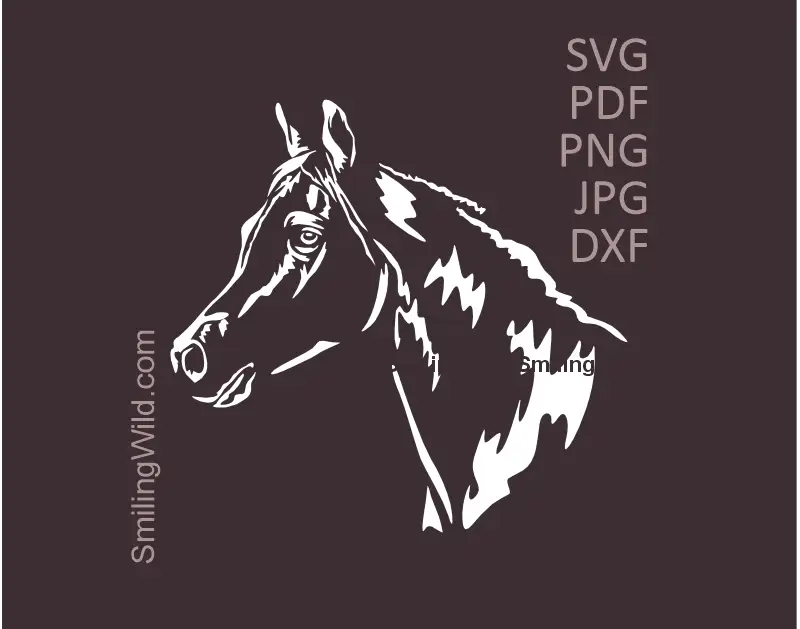 White Arabian horse head in SVG, PNG, DXF  vector clipart equestrian graphic design