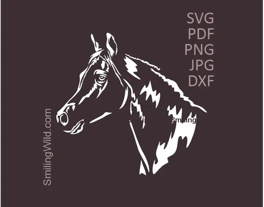 White Arabian horse head in SVG, PNG, DXF  vector clipart equestrian graphic design