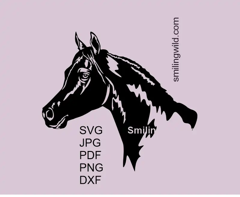 Arabian horse head portrait SVG vector clipart equestrian graphic art - aside view
