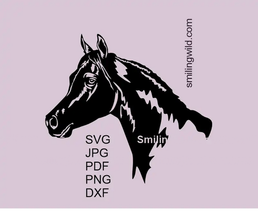 Arabian horse head portrait SVG vector clipart equestrian graphic art - aside view