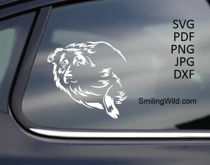 Detailed  Australian Shepherd white SVG, PNG, DXF clipart vector graphic for crafting, vinyl decals, and laser engraving projects shown as a car decal