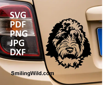 A car decal with Aussiepoo vector graphic dog head cut file SVG – digital design for engraving, printing, cutting  and crafting in various other ways