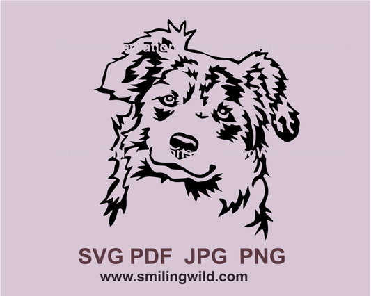 Australian shepherd in merle color is smiling and looking towards us. A digiatl graphic art drawing