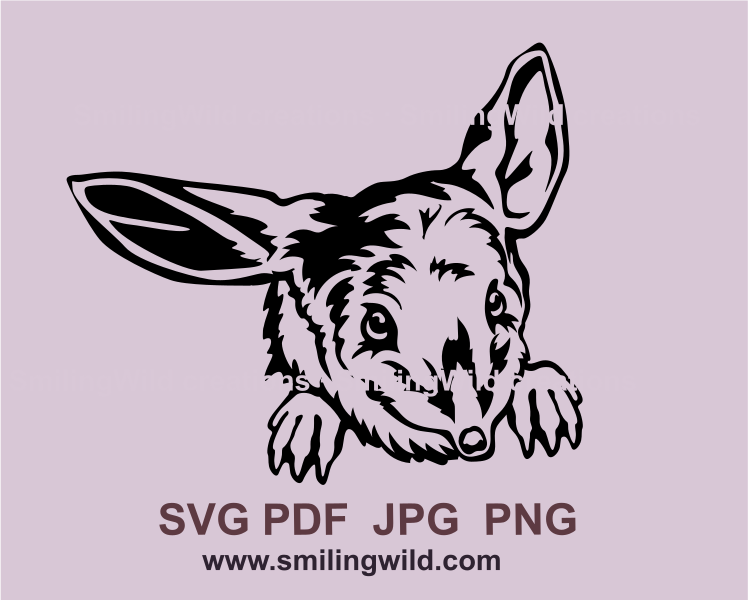 this little australian animal bilby portrait is made in svg graphic art