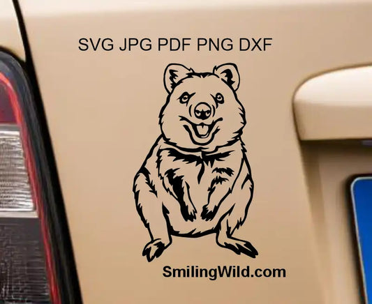 Australian animal Quokka SVG and dxf cut file preview presenting wildlife vector graphic designs