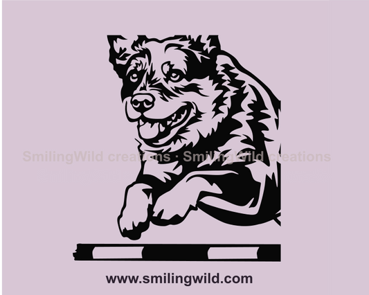 smiling australian cattle dog jumping over agility bar close up portrait
