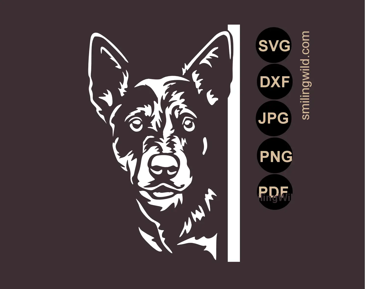 Australian Cattle Dog corner peeking  vector cut file in SVG, PNG and DXF file variations