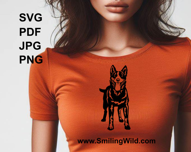 smiling australian cattle dog full body standing - t shirt graphic desing print