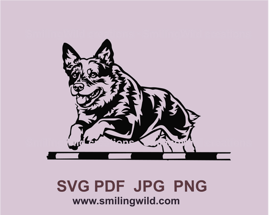 Smiling Australian cattle dog jumping over agility bar drawing in graphic design