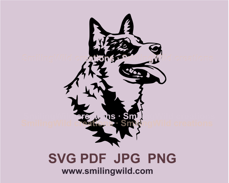 smiling Australian cattle dog in graphic art