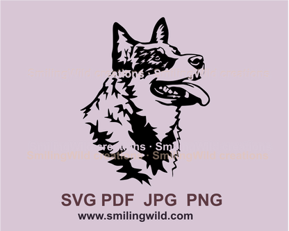 smiling Australian cattle dog in graphic art