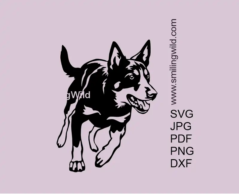 Alert Working Australian Kelpie dog running SVG PNG DXF vector graphic clipart for laser cutting, Cricut, and Silhouette projects