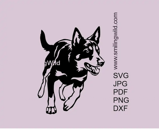 Alert Working Australian Kelpie dog running SVG PNG DXF vector graphic clipart for laser cutting, Cricut, and Silhouette projects