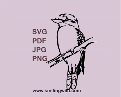 Australian kookaburra bird sitting on a branch in a cuttable svg design in black color