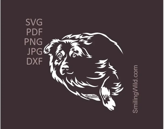 Vector image showcasing a white herding Australian Shepherd clipart, SVG, PNG, DXF files for Cricut, laser cutting, cuttable design, and digital crafts