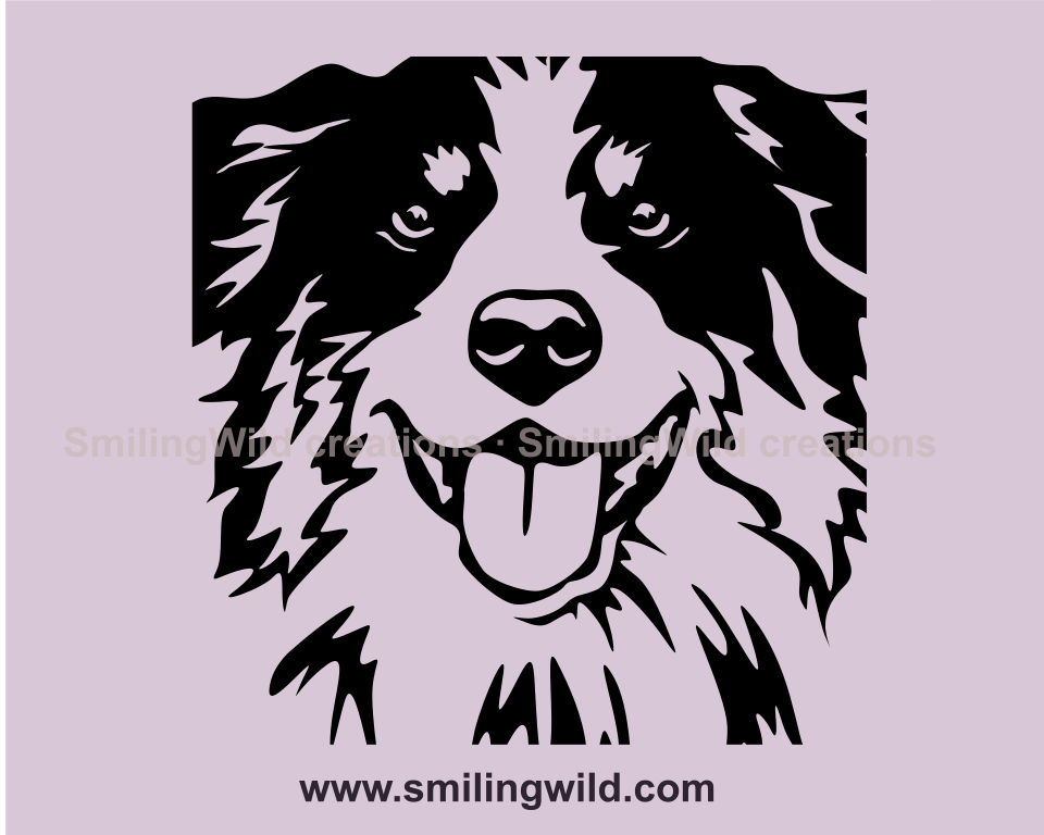 close up of australian shepherd smilign head