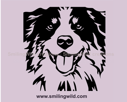 close up of australian shepherd smilign head