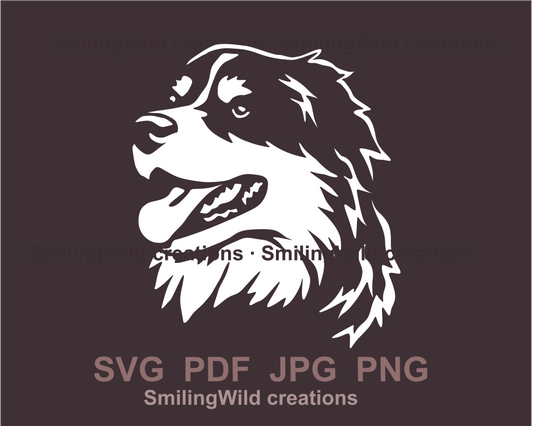 australian shepherd smiling face white line art image