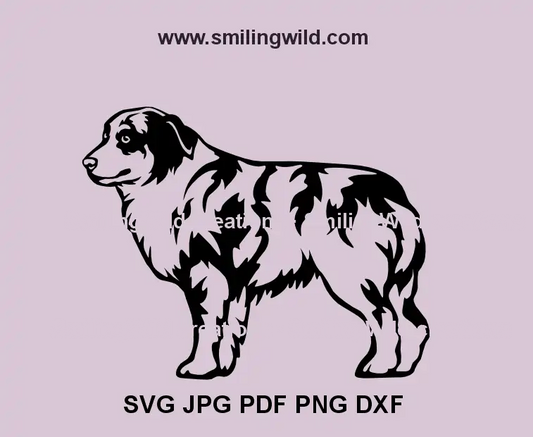 Australian Shepherd full body SVG for Cricut and laser cutting projects