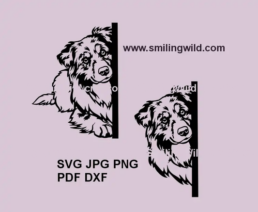 Peeking Australian Shepherd SVG, png and dxf design for Cricut and laser cutting projects