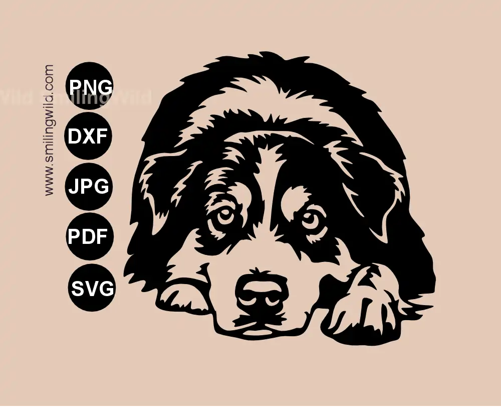 Lying and peeking Australian shepherd svg and dxf metal sign cut file for professional digital design
