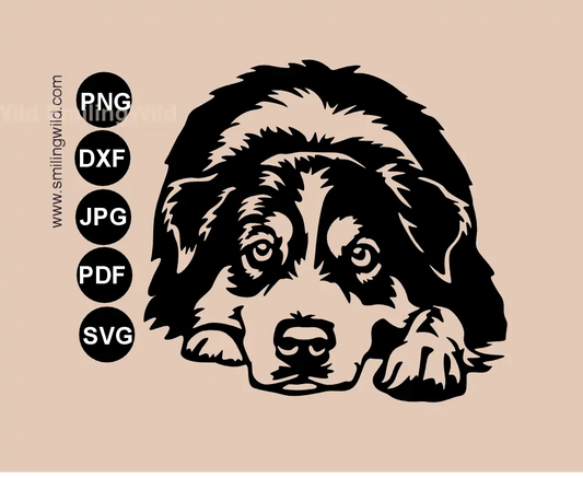 Lying and peeking Australian shepherd svg and dxf metal sign cut file for professional digital design