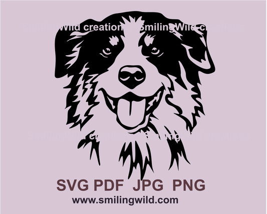 A cute australian shepherd face in black graphic art