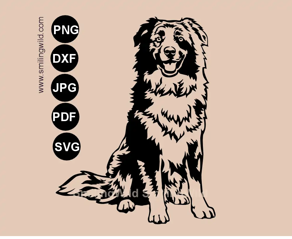 Sitting Australian Shepherd SVG and DXF full body dog detailed vector digital drawing.