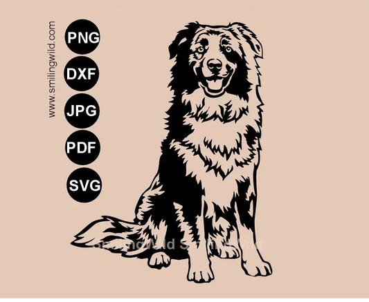 Sitting Australian Shepherd SVG and DXF full body dog detailed vector digital drawing.