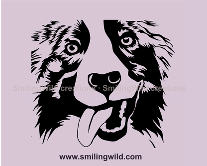 smiling Australian shepherd close up portrait